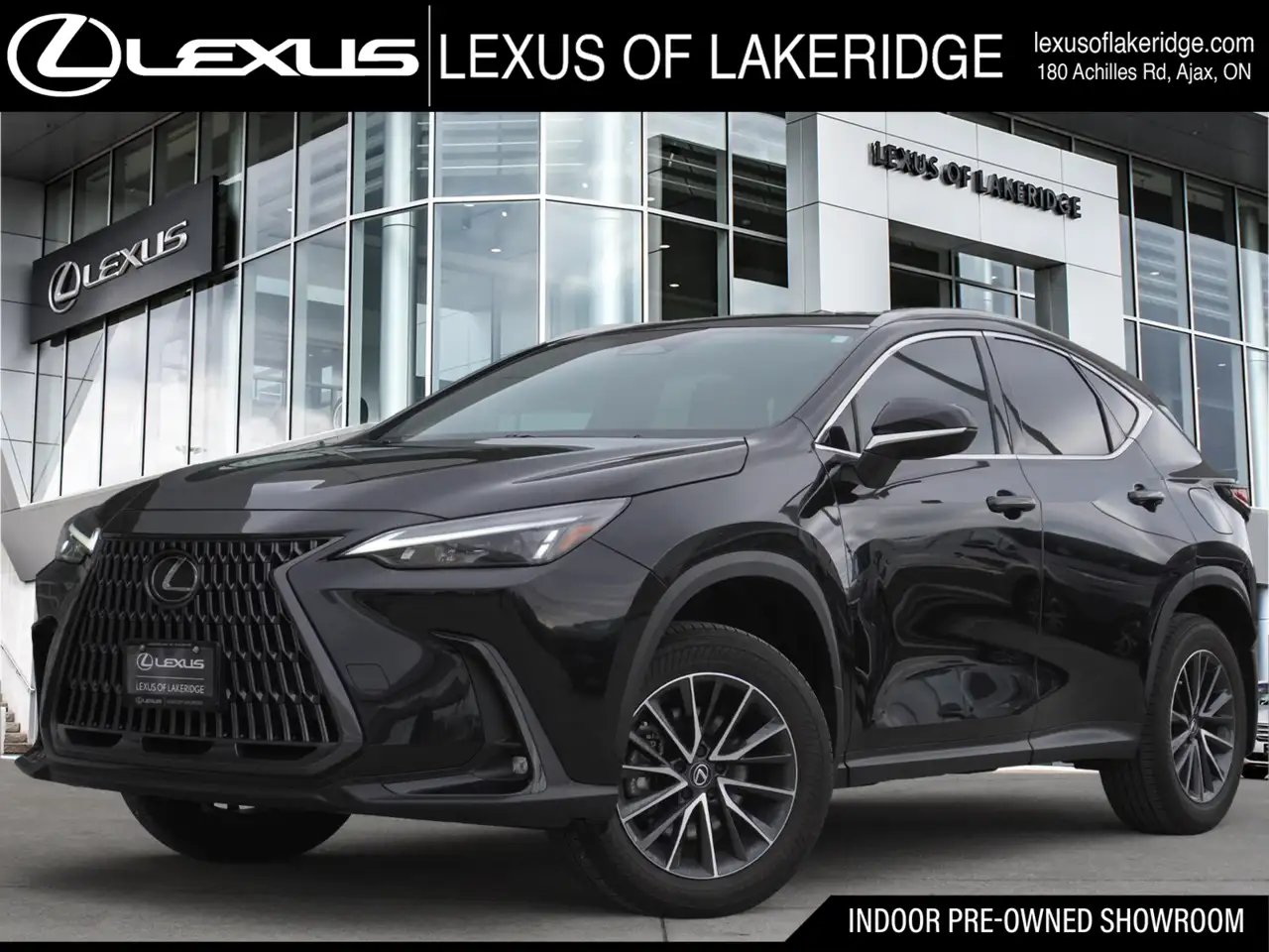 2025 Lexus NX