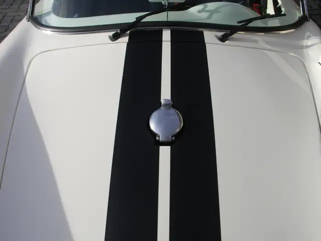 Porsche 550 Spyder Replik Chamonix Ansicht 15