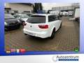 SEAT Exeo ST 2.0 TFSI Sport *XENON*LEDER*NAVI*19ZOLL* Blanco - thumbnail 4
