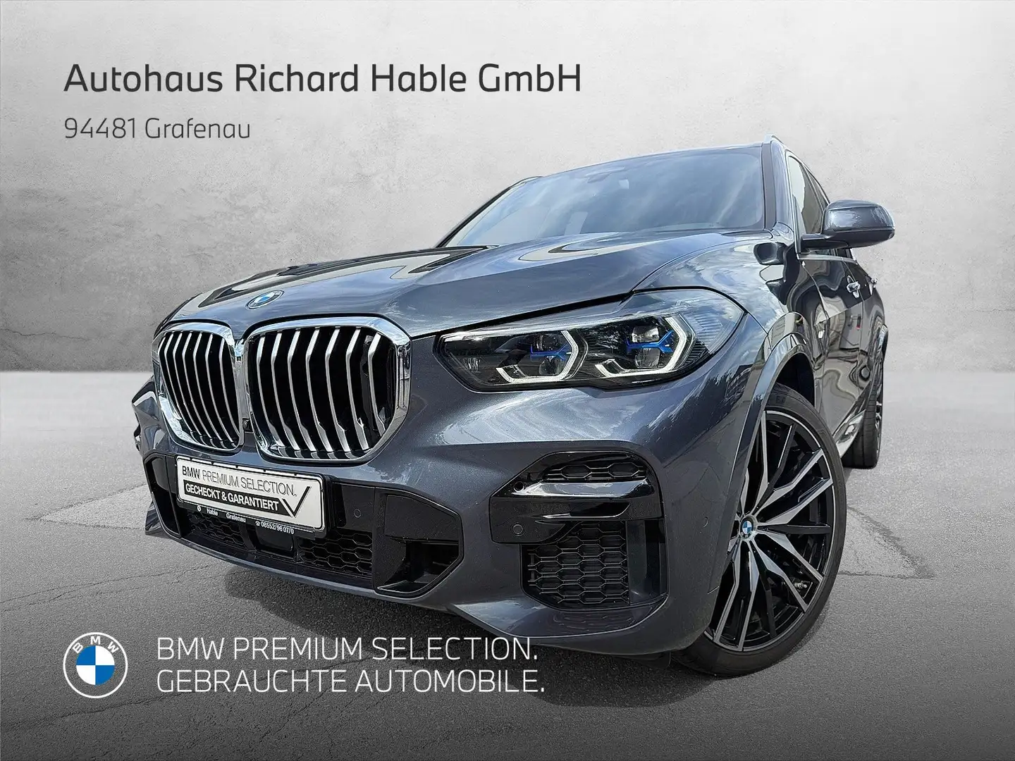 BMW X5 xDrive40d Gris - 1