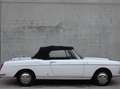 Peugeot 404 cabriolet Weiß - thumbnail 2