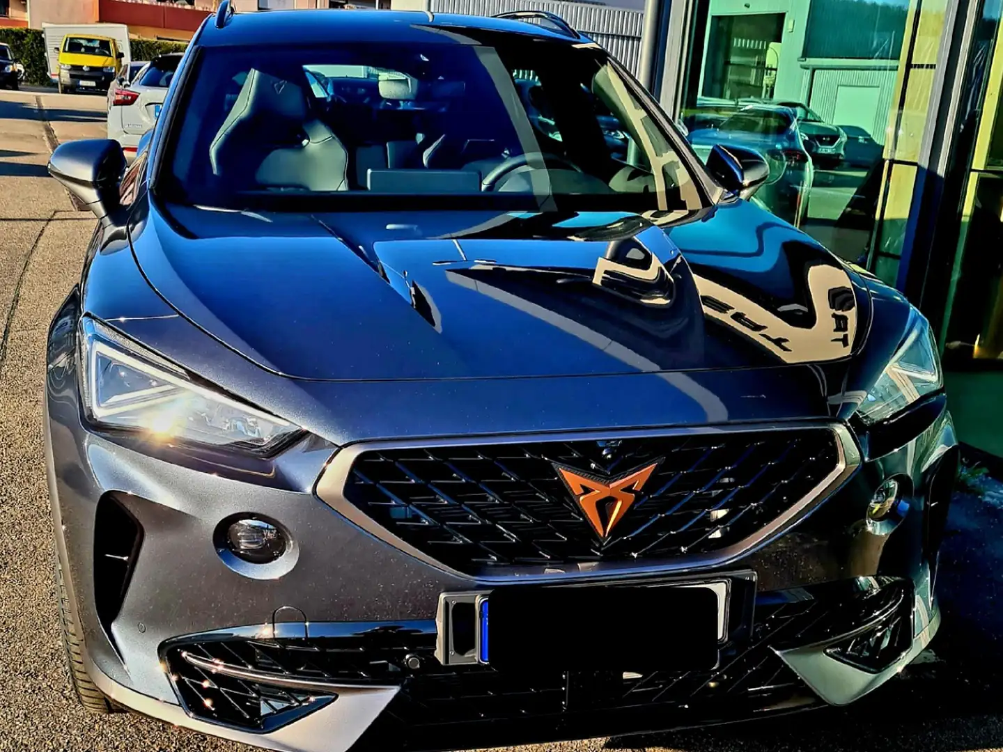 CUPRA Formentor Formentor VZ 2.0 TSI 4Drive DSG Grau - 1