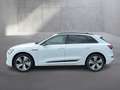 Audi e-tron 55 quattro advanced Weiß - thumbnail 3