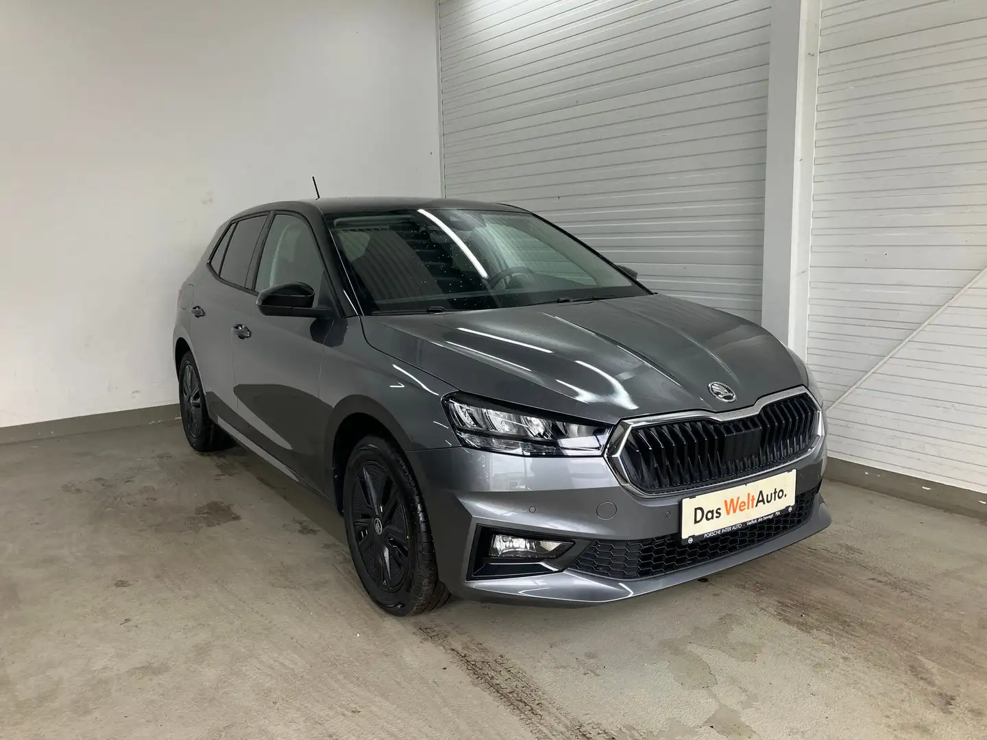 Skoda Fabia Selection TSI Grau - 1