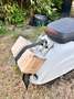 Simson KR 51 E Schwalbe 50er Refurbished Wit - thumbnail 4