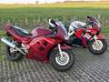 Suzuki RF 900 GT73A Rood - thumbnail 5