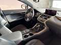 Lexus NX 300h F-Sport Hybrid Aut. Сірий - thumbnail 12