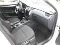 Skoda Octavia Combi Soleil**17Zoll** Blanc - thumbnail 5