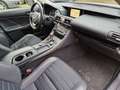 Lexus IS 300 300h Hybrid Business Line Aut. NL-auto Navi Camera Blanco - thumbnail 9
