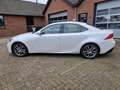 Lexus IS 300 300h Hybrid Business Line Aut. NL-auto Navi Camera Blanco - thumbnail 6