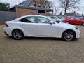 Lexus IS 300 300h Hybrid Business Line Aut. NL-auto Navi Camera Blanco - thumbnail 3