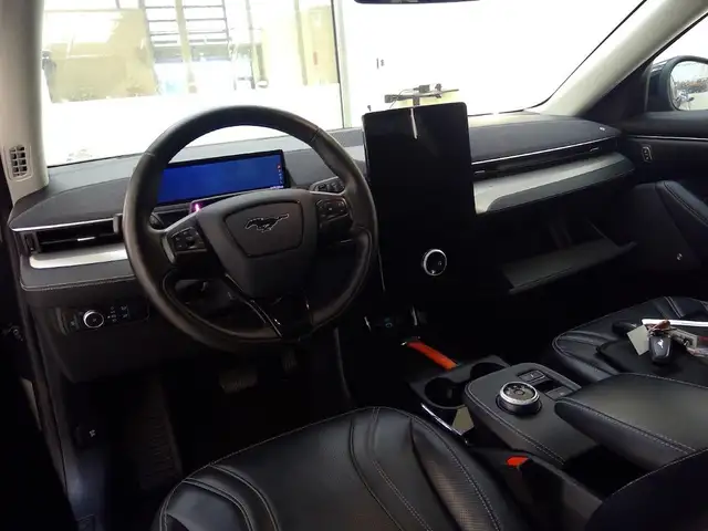 Ford Mustang Mach-E view 6