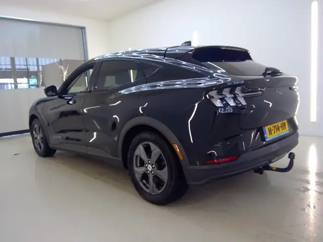 Ford Mustang Mach-E view 5