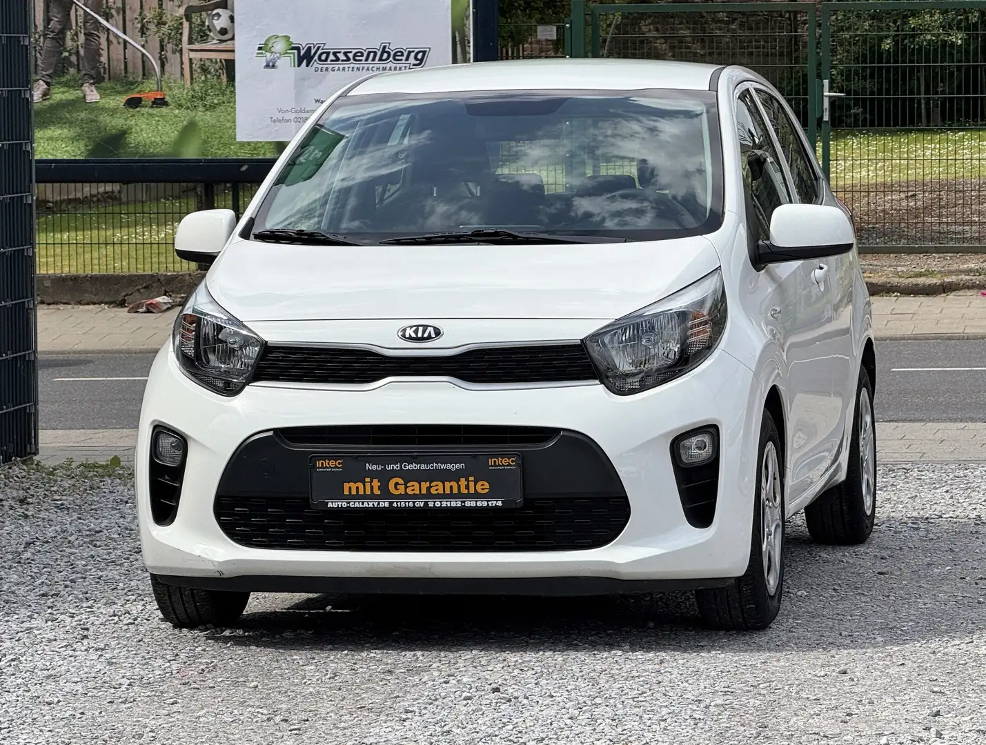 Kia Picanto EconomyPlusLine*Klima*USB*Bluetooth*Neu HU/AU Blanco - 2