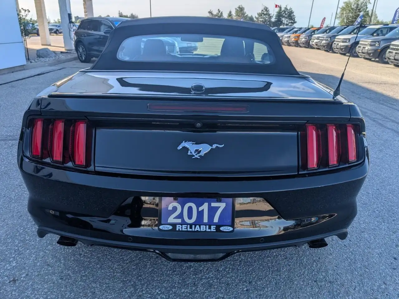 Ford Mustang снимка Ford Mustang