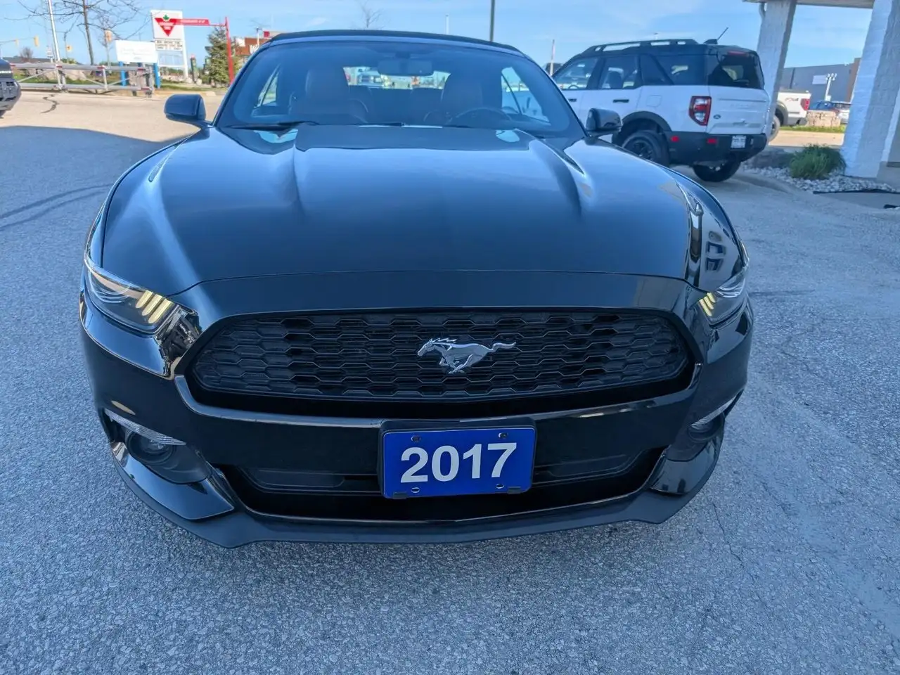 Ford Mustang снимка Ford Mustang