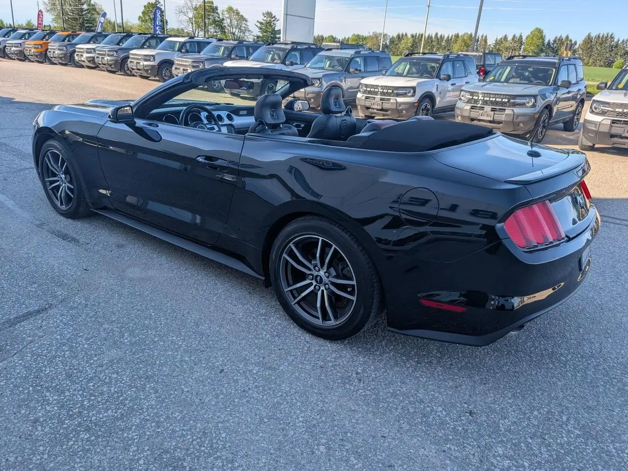 Ford Mustang снимка Ford Mustang