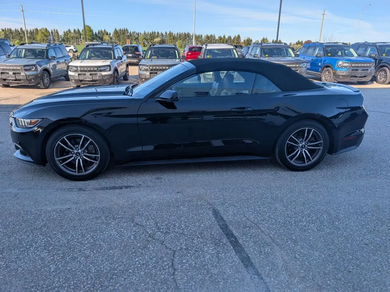 Ford Mustang снимка Ford Mustang