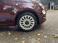 Fiat 500 1.0 70CV HYBRIDE Or - thumbnail 19