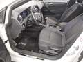 Volkswagen Golf Variant Golf VII Variant 1.0 TSI BMT United AHK ACC RFK Weiß - thumbnail 9
