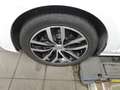 Volkswagen Golf Variant Golf VII Variant 1.0 TSI BMT United AHK ACC RFK Weiß - thumbnail 11