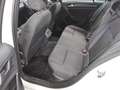 Volkswagen Golf Variant Golf VII Variant 1.0 TSI BMT United AHK ACC RFK Weiß - thumbnail 13