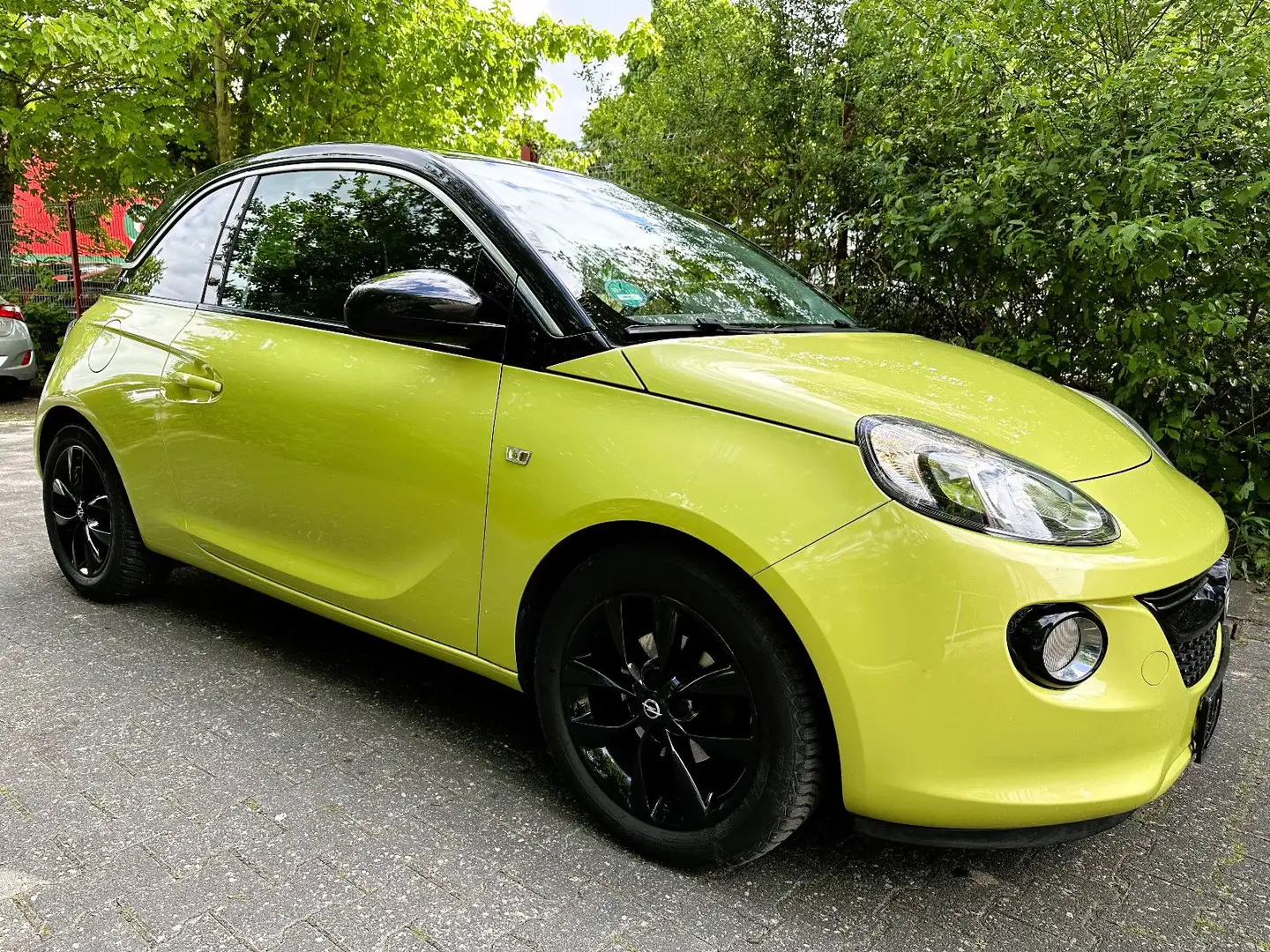 Opel Adam Jam*1.Hand* Green - 2