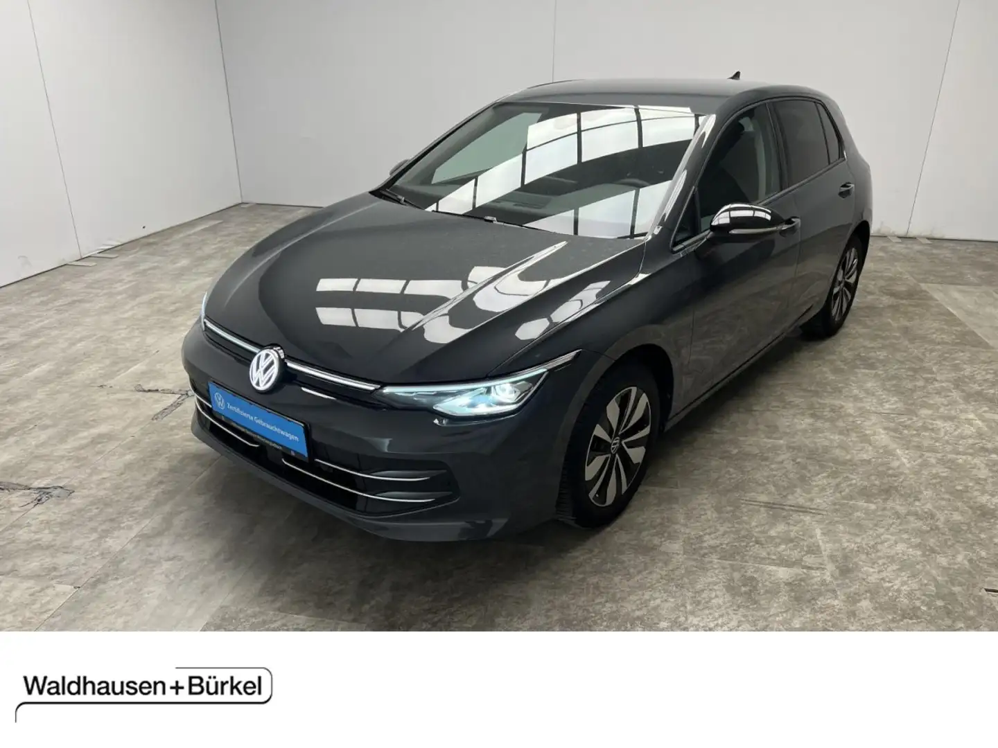 Volkswagen Golf VIII 2.0 TDI DSG Goal 2,49% Klima Navi Grau - 1