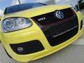Volkswagen Golf GTI 2.0  DSG Pirelli AUS 1.HAND INSPEKT.NEU Amarillo - thumbnail 10