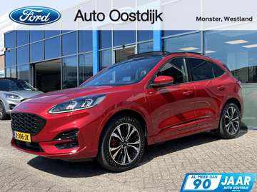 2.5 PHEV ST-Line X 225PK 1500KG Trekgewicht Trekha