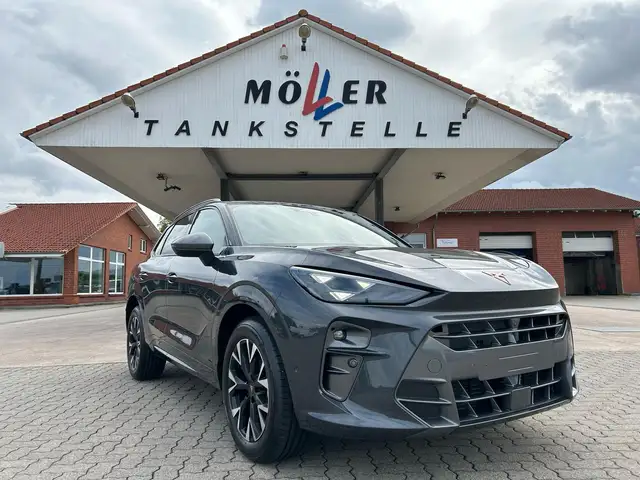 CUPRA Terramar 2.0 TSI DSG 4Drive / Standheizung AHK