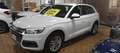 Audi Q5 2.0 TDI 190 CV quattro S tronic Business Sport Grigio - thumbnail 3