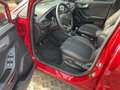 Ford Puma ST-LINE. 2020.75 MY. LIM. 5-TUERIG ACC FLA Navi Rouge - thumbnail 9