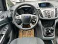 Ford C-Max 1.6 TDCi Titanium Start-Stop +EURO 5b +CLIM +NAVI Zwart - thumbnail 13