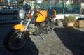 Ducati 1000 Sport Amarillo - thumbnail 6