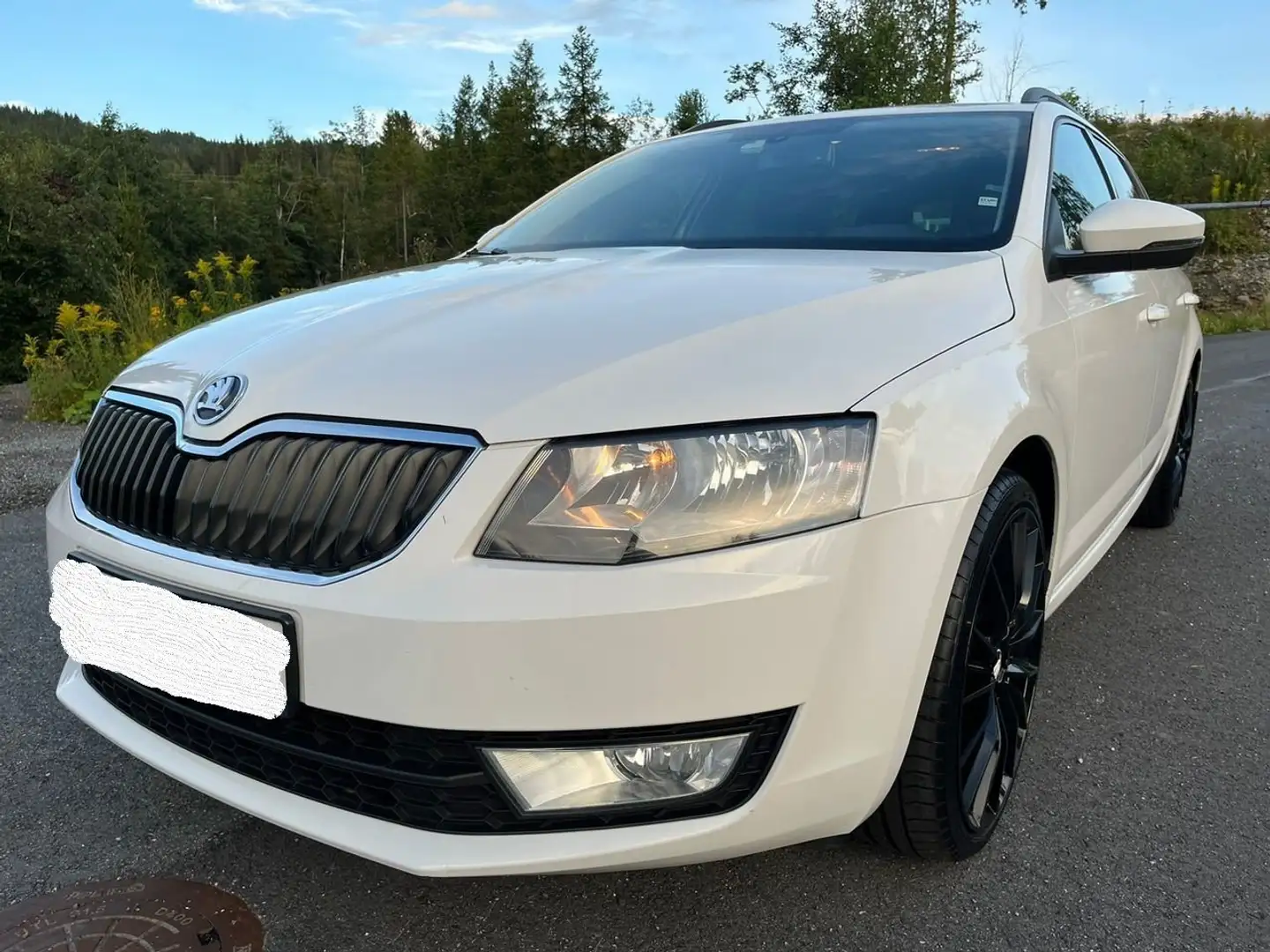 Skoda Octavia Octavia SW 1.2 TSI Classic Beyaz - 1