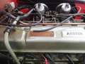 Austin Healey 3000 MKll BJ7 Rojo - thumbnail 33