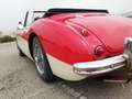 Austin Healey 3000 MKll BJ7 Rojo - thumbnail 10
