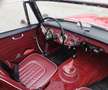 Austin Healey 3000 MKll BJ7 Rojo - thumbnail 21