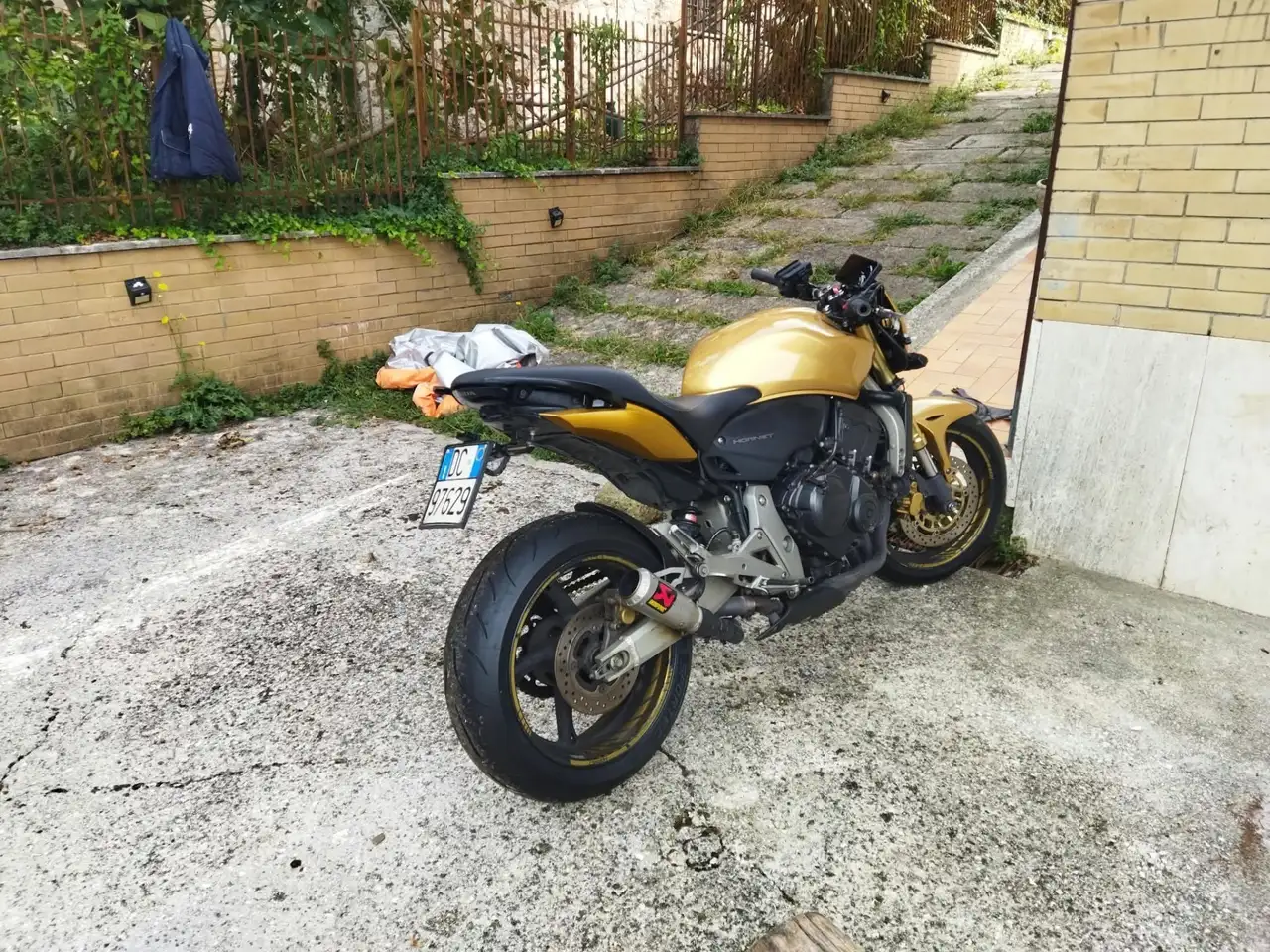 Honda Hornet