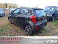 Kia Picanto 1.0 Edition 7 Klima LM el.FH ZV Servo - thumbnail 4