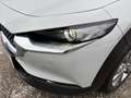 Mazda CX-30 e-Skyactive G140 Centre-Line Aut. AUTO STAHL WI... Weiß - thumbnail 9