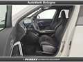 BMW X1 X1 xDrive 20d Msport Pro Bianco - thumbnail 11