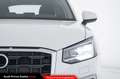 Audi Q2 30 TDI Admired Advanced Wit - thumbnail 12