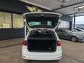 Volkswagen Golf Sportsvan VII 2.0 TDILounge PANO/PDC/BT Weiß - thumbnail 36