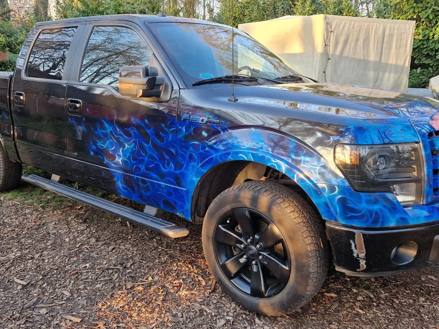 Ford F 150 Negro - 1