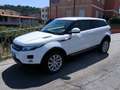Land Rover Range Rover Evoque Evoque 2015 3p 2.2 td4 Prestige 150cv Bianco - thumbnail 2