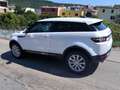 Land Rover Range Rover Evoque Evoque 2015 3p 2.2 td4 Prestige 150cv Bianco - thumbnail 3