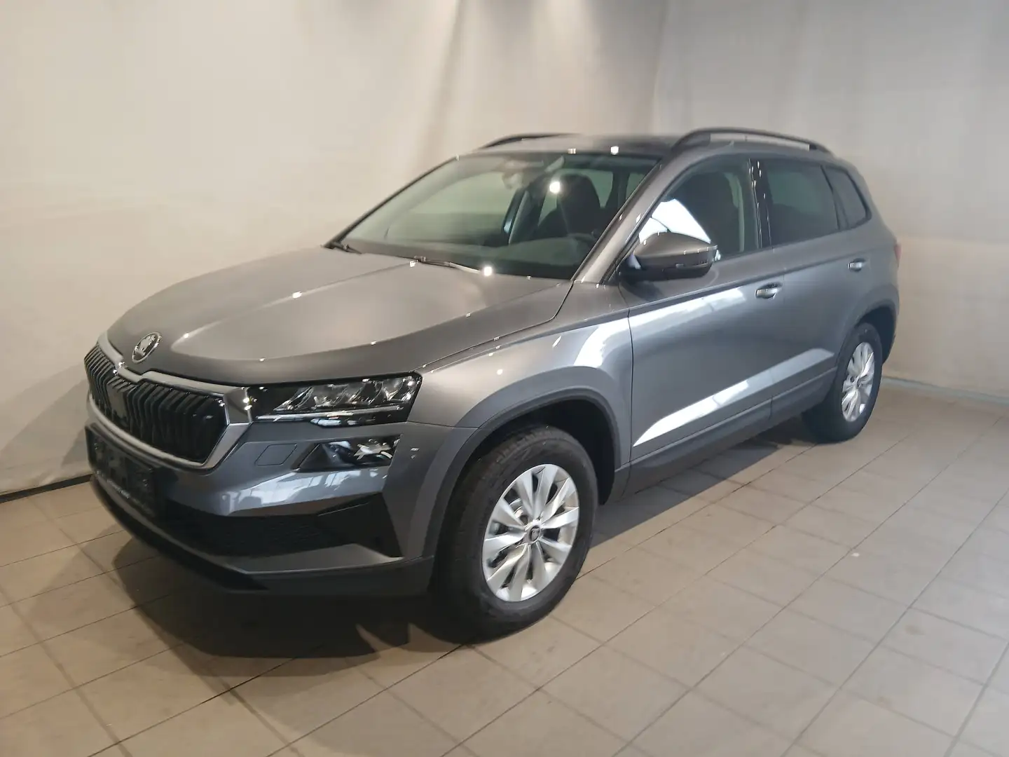 Skoda Karoq Selection 4x4 TDI DSG Grau - 1