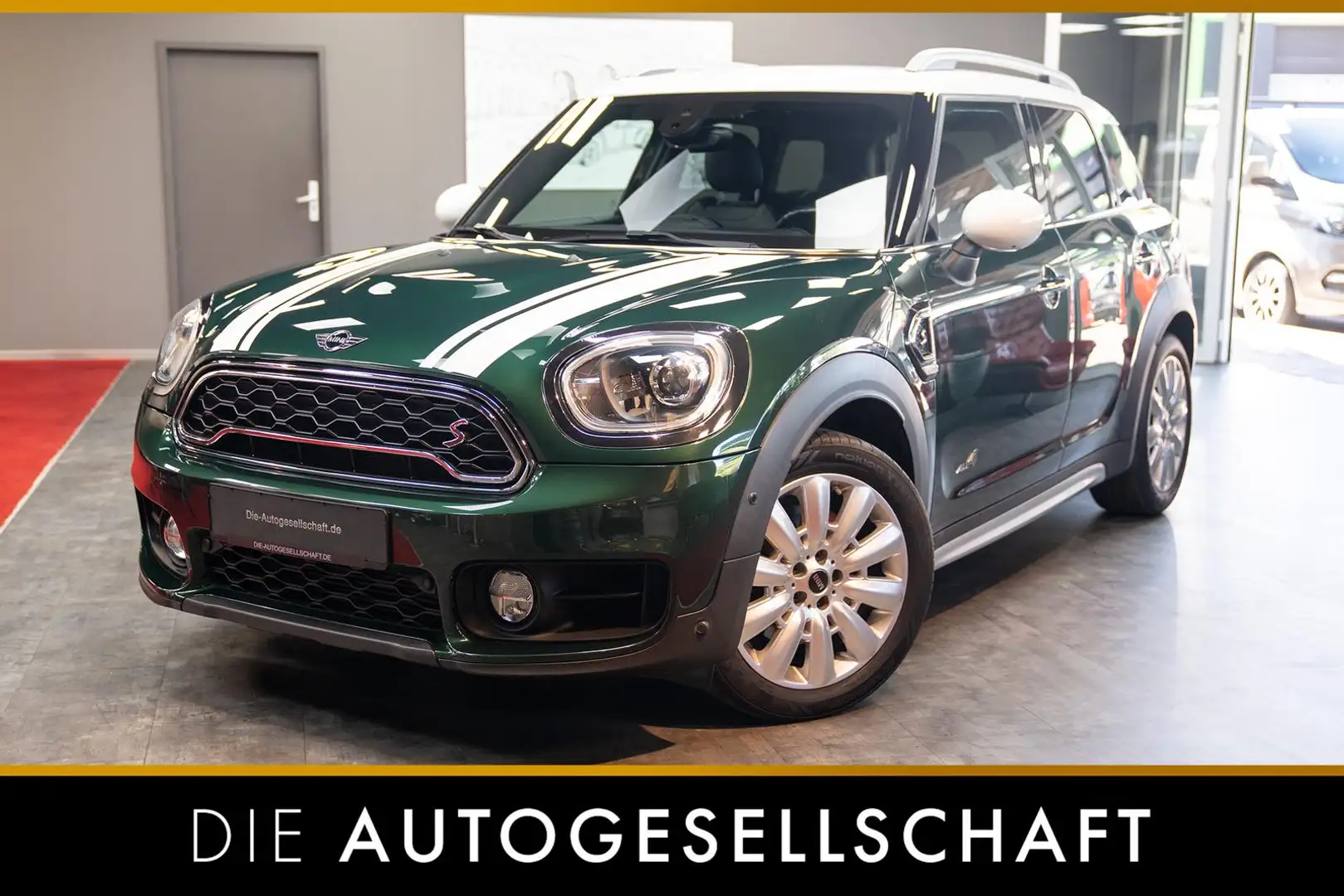 MINI Cooper S Countryman Countryman Cooper S All4*LED*NAVI*LEDER*KAMERA* Grün - 1
